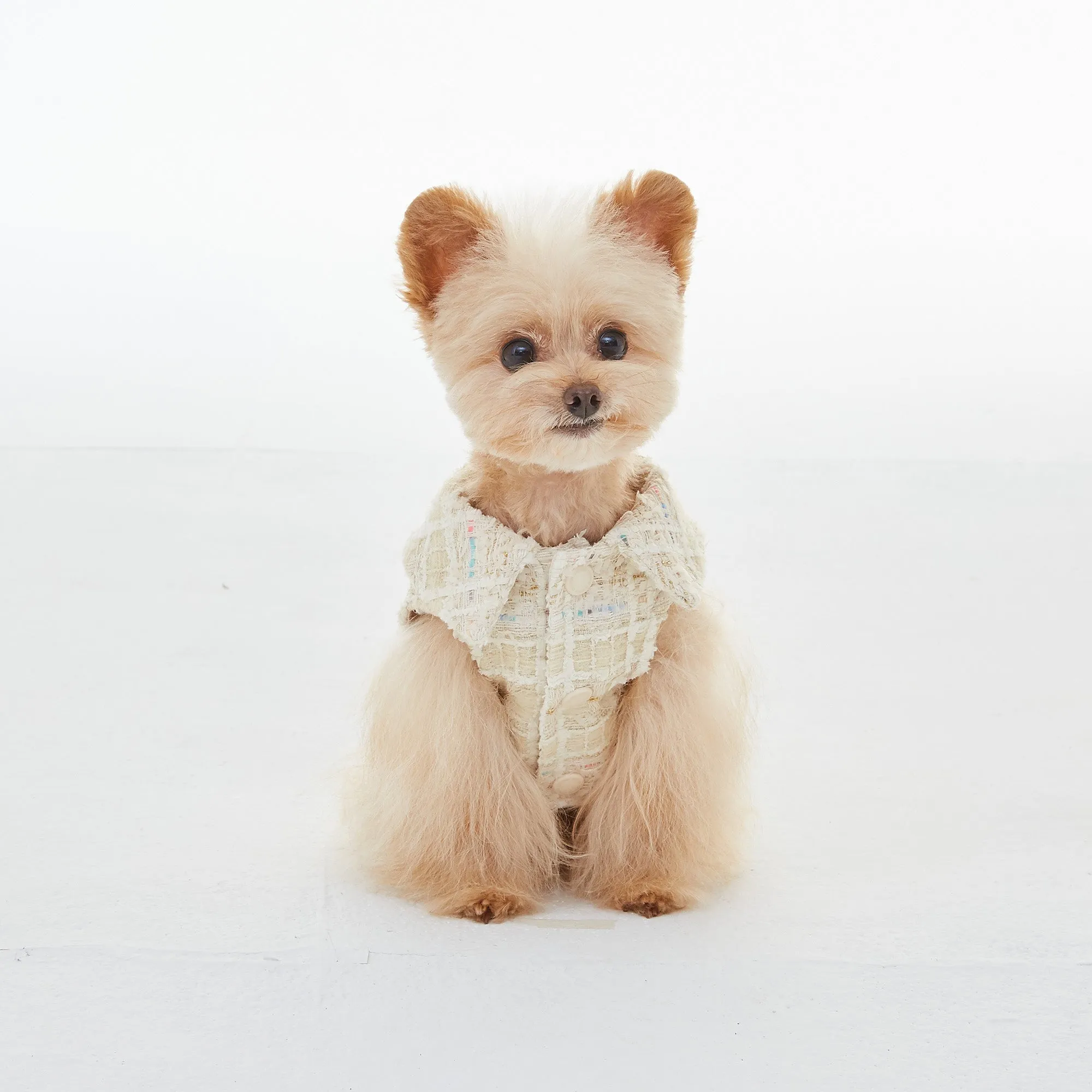 CoCo Tweed Jacket - Ivory