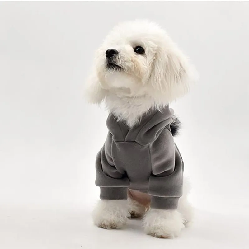 Thick Cotton Pom Pom Pet Hoodie