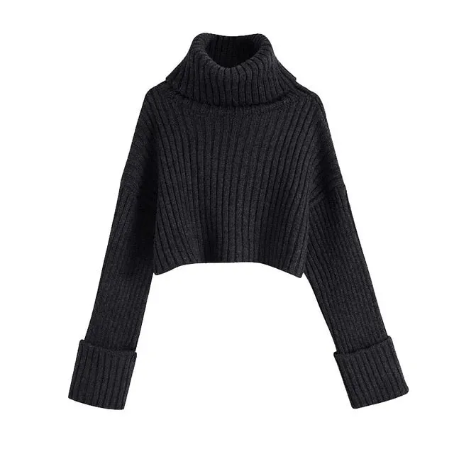 THICK CROPPED SWEATER